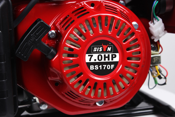 Генератор Bison 3500 газ/бензин 3Квт 4-тактный, 7 л.с., однофазный, медь, AVR 210 см³ - изображение 7