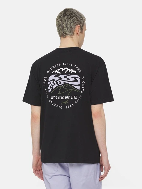 Футболка довга бавовняна чоловіча Dickies DK0A4YR2BLK1 L Чорна (800070321198) - зображення 2