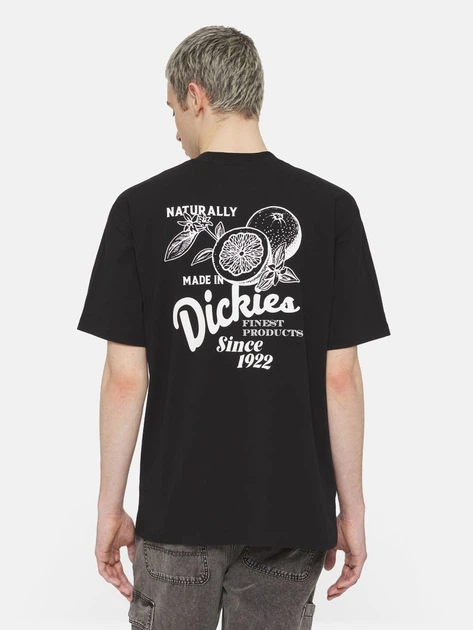 Koszulka męska bawełniana Dickies DK0A4YYMBLK1 L Czarna - obraz 2