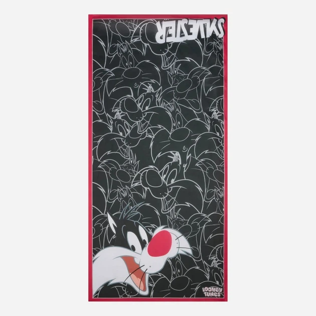 Szal damski Braccialini LTFR13-XX-818 One Size Czarny - obraz 2