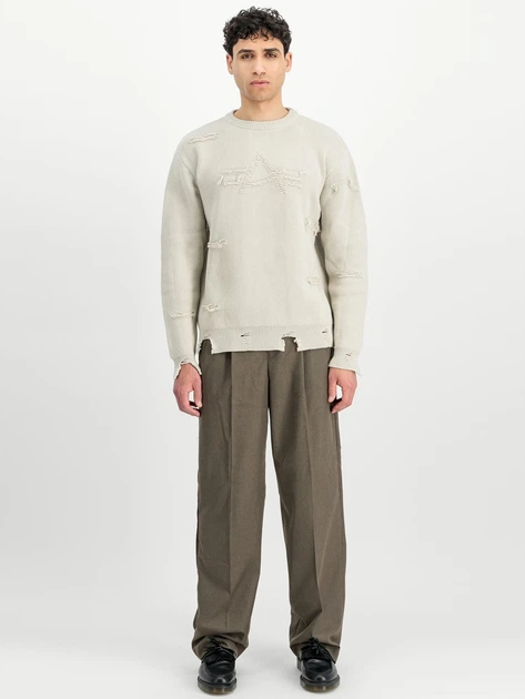 Джемпер чоловічий Alpha Industries 258400627 L Бежевий (800070348716) - зображення 3