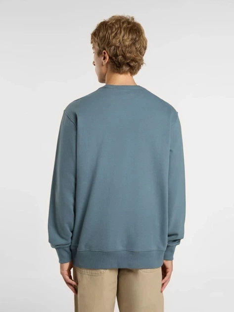 Bluza bez kaptura męska Dickies DK0A4XABG701 S Jasnoniebieska - obraz 2