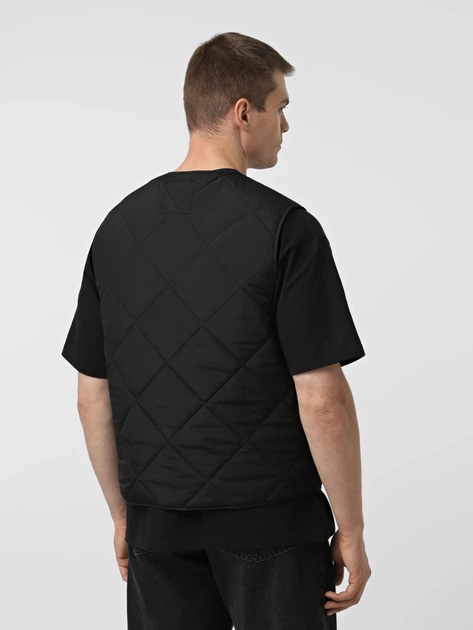 Теплий жилет пуховий чоловічий Dickies DK0A87O8BLK1 S Чорний (800070348102) - зображення 2