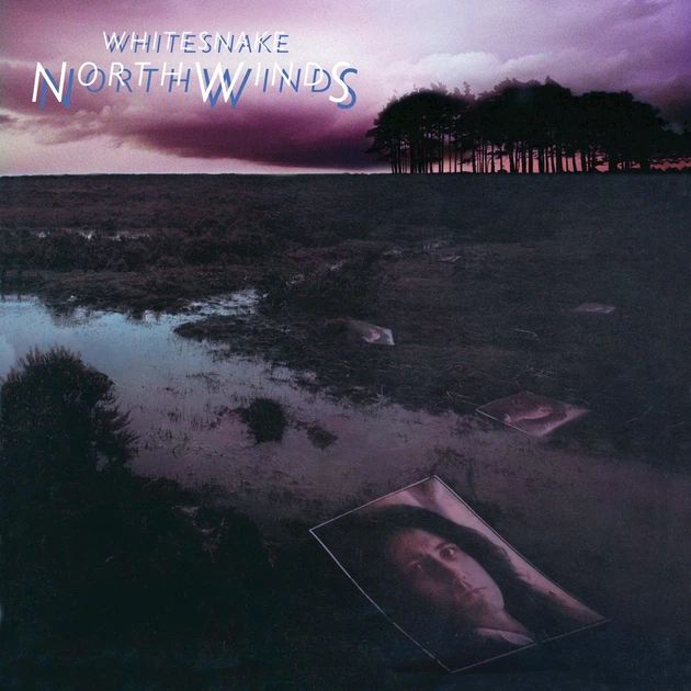 Whitesnake - North Winds 1978/2024 (Rcv1726639, Black Ice) Rhino/EU Mint Виниловая пластинка (art.246233) - изображение 2