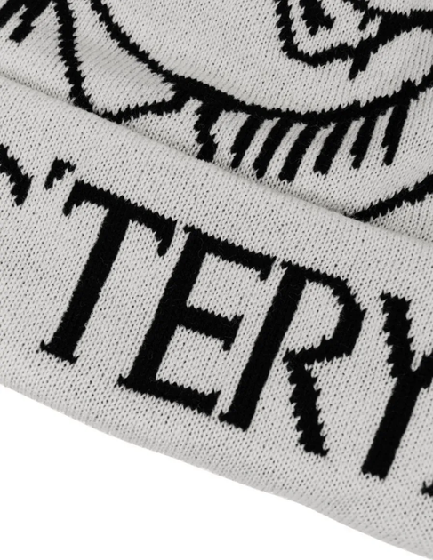 Шапка Arcteryx в белом цвете. - изображение 3