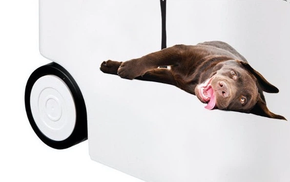 Контейнер для зберігання сухого корму Curver Pet life 20 кг 54 л Собаки 253751 (3253924836447) - зображення 4