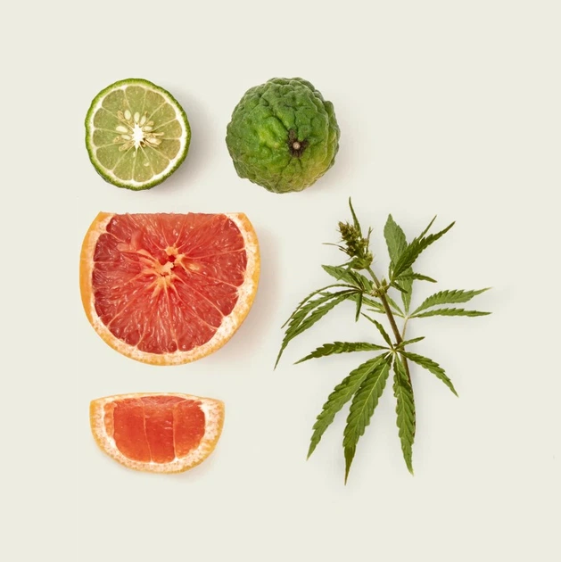 Парфуми унісекс Fugazzi NoCologne 100 мл (8717496449405) - зображення 3