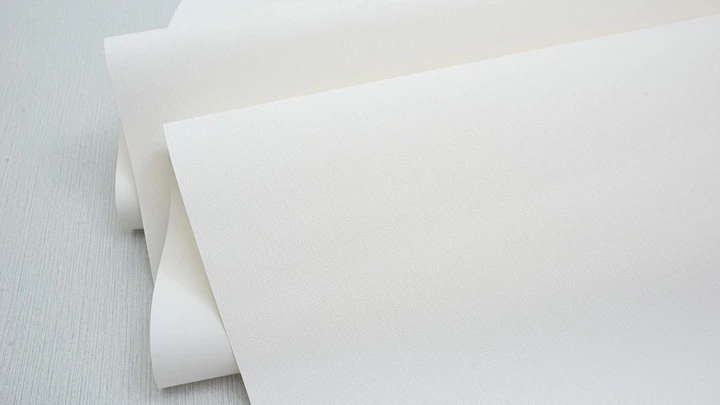 Tapeta winylowa na flizelinie Sintra Fancy 1.06 x 10.05 m Biała (4824001689721) - obraz 4