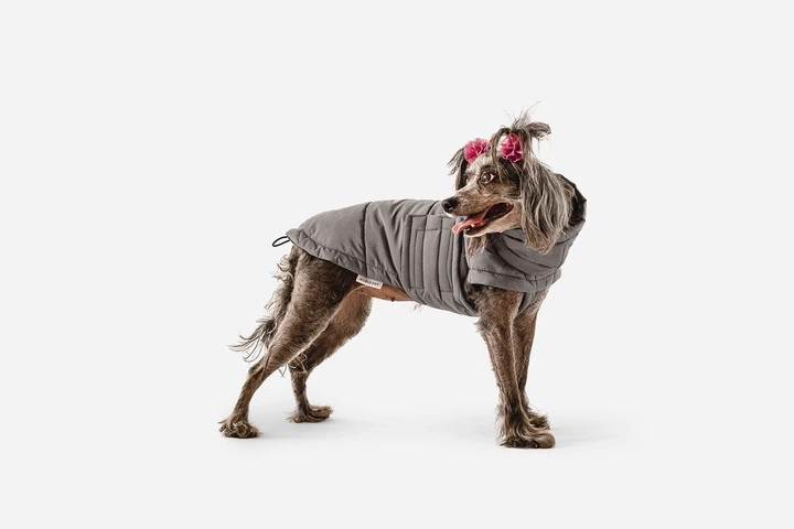Одежда Noble Pet Bobby Gray – пуховик для собак 7XL (B4118/7XL) - Фото 4 Одежда Noble Pet Bobby Gray – пуховик для собак 7XL (B4118/7XL) - изображение 4