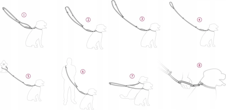 Регульований повідець Amiplay Amik 8 в 1 S 200 - 400 см DirtyDog (5907563309234) - зображення 2