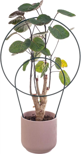 Підставки для горщиків Kadax Fora полукруг K11358 3 шт. - зображення 2