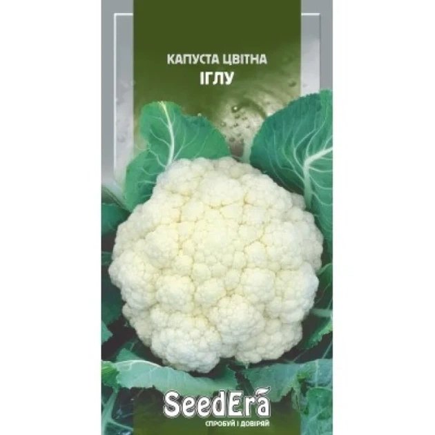 Семена Seedera цветной капусты Иглу 30шт - Фото 1 Семена Seedera цветной капусты Иглу 30шт - изображение 1