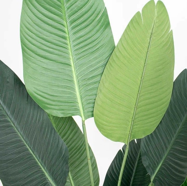 Штучна рослина KIK бананник 120 см (5904041140822) - зображення 3