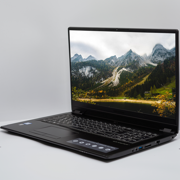 Ігровий ноутбук 17,3" Medion (Lenovo Group) Erazer X1780 Intel Core i7-9750H RAM 32 ГБ SSD 512 ГБ HDD 2 ТБ Nvidia GeForce GTX 1660 Ti б/в Win10 (4724) - зображення 3
