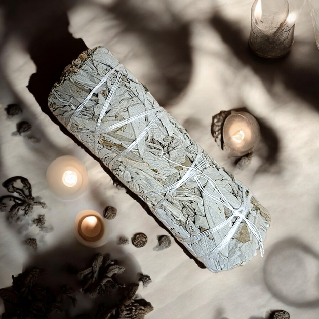 Біла Шавлія White Sage. Велика 02240 - изображение 2