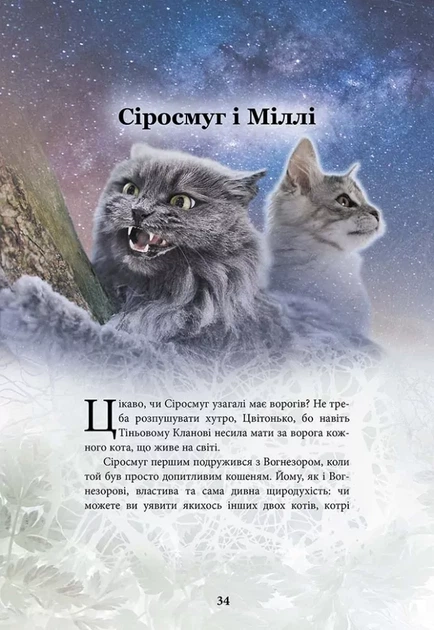 Коти - вояки. Герої Кланів. Хроніки Зореклану - Е. Гантер (9786178387907) - Фото 4 Коти - вояки. Герої Кланів. Хроніки Зореклану - Е. Гантер (9786178387907) - изображение 4