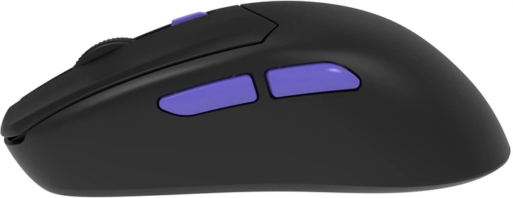 Мышь Proove Gaming Everon Wireless/USB Black (637470001) - Фото 3 Мышь Proove Gaming Everon Wireless/USB Black (637470001) - изображение 3