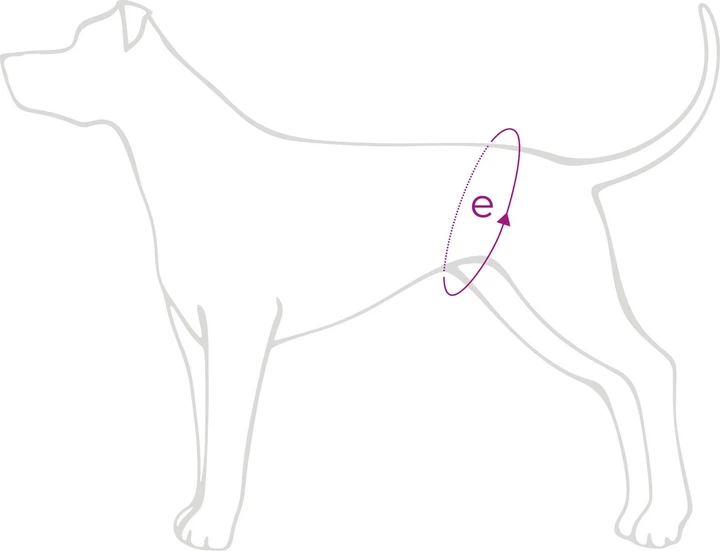 Majki na cieczkę dla psa Amiplay XXL 49-85 cm Czarne (5906160221376) - obraz 3