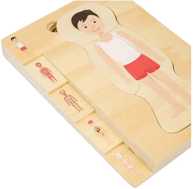 Пазл дерев'яний Bigjigs Хлопчик анатомічний 26 елементів 3000018 (691621850213) - зображення 3