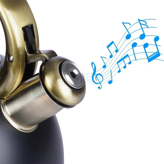 Чайник Vilde зі свистком сталевий чорний 3 л (5904316457075) - зображення 3