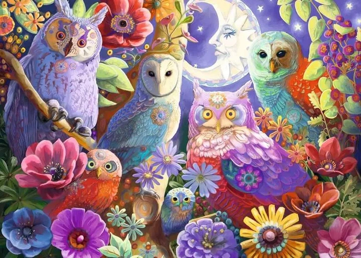 Пазл Ravensburger Night Owl Hoot 300 елементів (4005556174669) - зображення 2