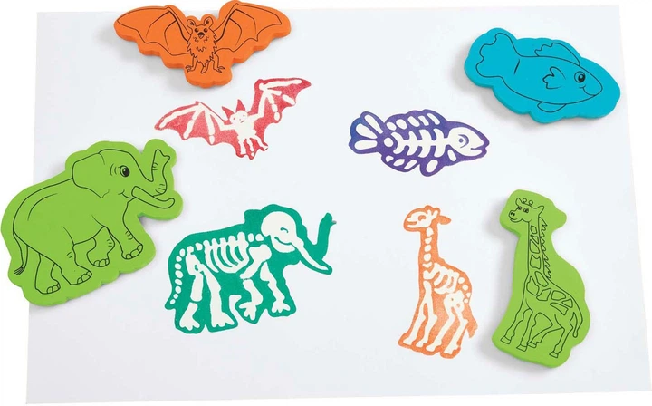 Набір штампів Colorations з мотивом скелетів тварин 15 шт 6040454 (191487008372) - зображення 2