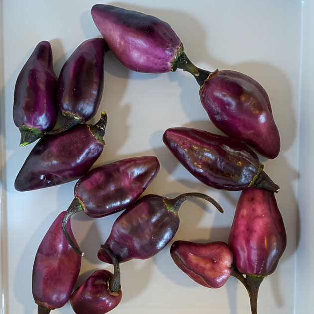 Семена Перец острый Pimenta Lisa, Capsicum chinense 5 шт/уп - Фото 6 Семена Перец острый Pimenta Lisa, Capsicum chinense 5 шт/уп - изображение 6