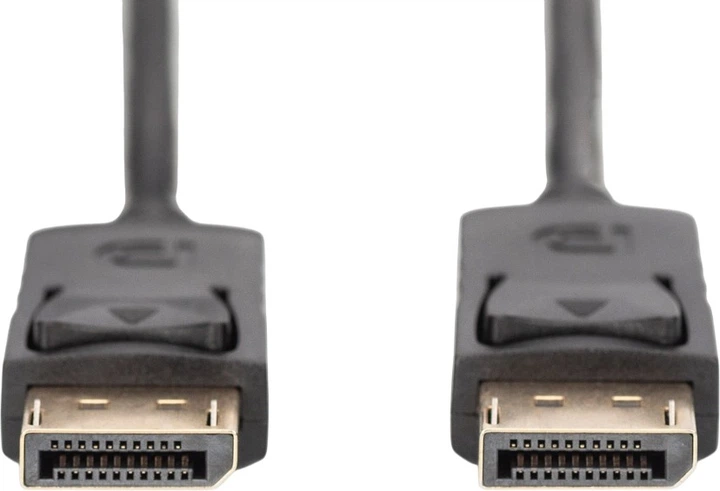 Kabel Digitus Assmann Assmann DisplayPort (AM/AM) 10 m Black (AK-340100-100-S) - obraz 2