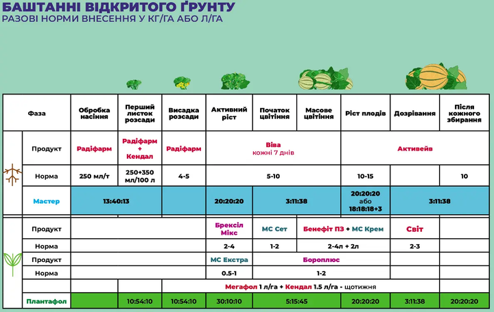 Радифарм (Radifarm) 1л биостимулятор роста корневой системы укоренитель Valagro (Валагро) - Фото 3 Радифарм (Radifarm) 1л биостимулятор роста корневой системы укоренитель Valagro (Валагро) - изображение 3