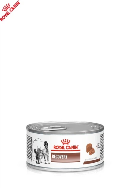 Влажный корм Royal Canin Recovery - консервы для собак и кошек в период восстановления после болезни (40550021) - изображение 5