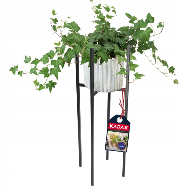 Kwietnik Kadax Novi 2423 18x18x67 cm (5903699407554) - obraz 2