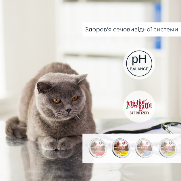 Консервований корм Morando Migliorgatto Sterilized Беззернові консерви для стерилізованих котів мус з куркою та прошуто 85 г (m01460) - зображення 2