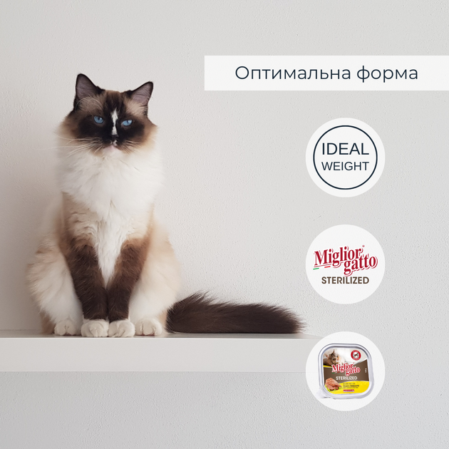 Консервированный корм Morando Migliorgatto Sterilized Беззерновые консервы для стерилизованных кошек с курицей и прошутто 100 г (m01451) - изображение 3