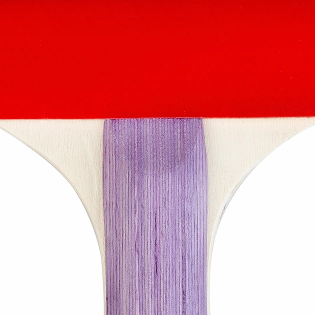 Набір для настільного тенісу Spokey Smash Set 81812 (5907640818123) - зображення 8