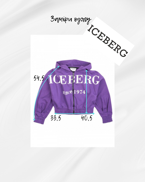 Толстовка для девочки Iceberg на замке с капюшоном и большим контрастным логотипом 6–7 лет/116 см Фиолетовый - Фото 5 Толстовка для девочки Iceberg на замке с капюшоном и большим контрастным логотипом 6–7 лет/116 см Фиолетовый - изображение 5