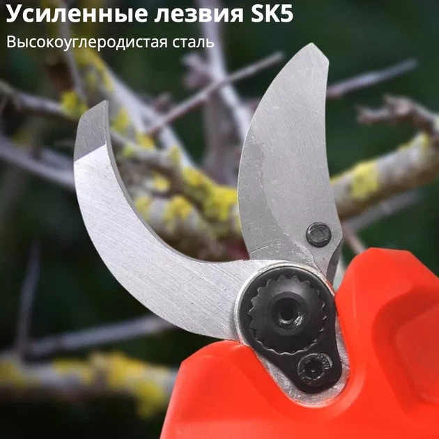 Аккумуляторный секатор 2АКБ 24V с удлинителем 2м. Садовые ножницы высокорез - Фото 10 Аккумуляторный секатор 2АКБ 24V с удлинителем 2м. Садовые ножницы высокорез - изображение 10