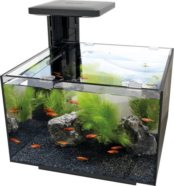 Акваріумний набір SuperFish SF QUBIQ 20 BLACK (A4050889) - Фото 3 Акваріумний набір SuperFish SF QUBIQ 20 BLACK (A4050889) - зображення 3
