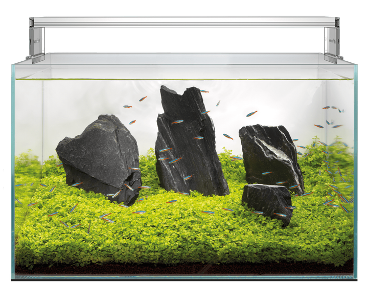Акваріумний набір SuperFish Scaper 140 (A4051820) для акваскейпінгу - зображення 3