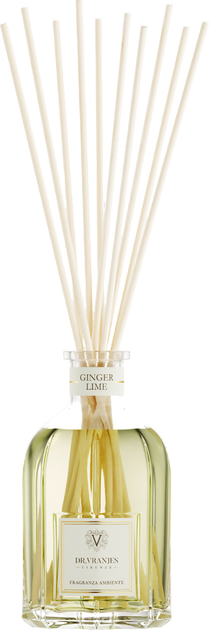 Dyfuzor zapachowy Dr. Vranjes Ginger Lime z patyczkami 250 ml (8033196273585) - obraz 2