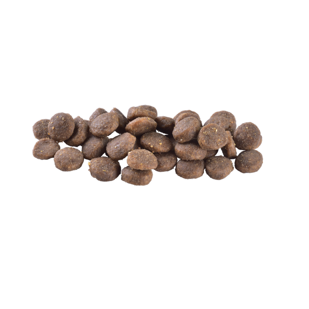 Корм сухой Brit Care Dog Grain-free Puppy для щенков беззерновой с лососем 3 кг - изображение 2