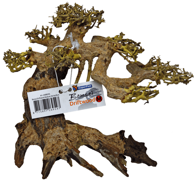 Дерево бонсай BONSAI DRIFTWOOD M (A4080105) - Фото 1 Дерево бонсай BONSAI DRIFTWOOD M (A4080105) - изображение 1