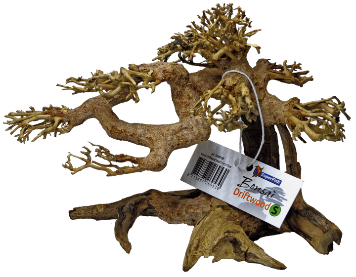 Дерево бонсай BONSAI DRIFTWOOD S (A4080100) - Фото 1 Дерево бонсай BONSAI DRIFTWOOD S (A4080100) - изображение 1