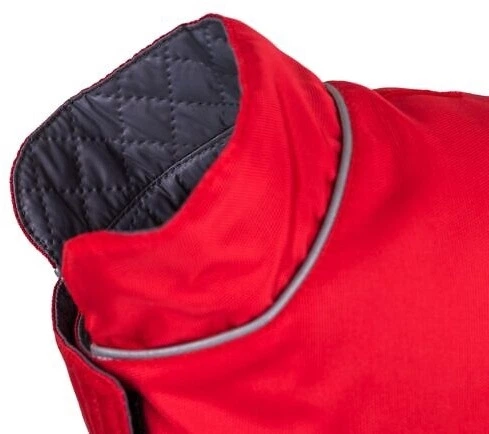 Плащ для собак Amiplay Dublin 45 см Червоний (5907563299641) - зображення 2