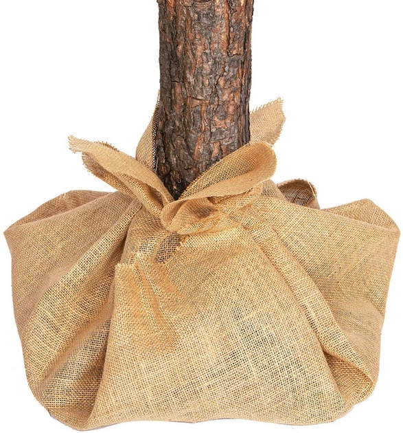 Штучна ялинка Springos Сніжна ялина на стовбурі 220 см (5908455303811) - зображення 2