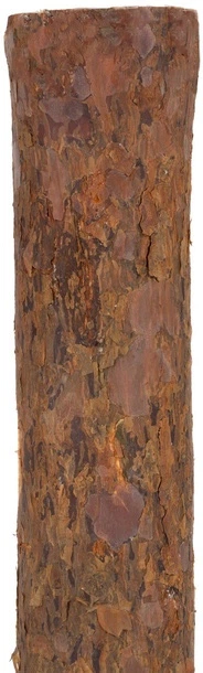 Штучна ялинка Springos Сніжна ялина на стовбурі 220 см (5908455303811) - зображення 6