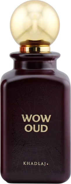 Парфумована вода унісекс Khadlaj Wow Oud 100 мл (6291107976716) - зображення 2