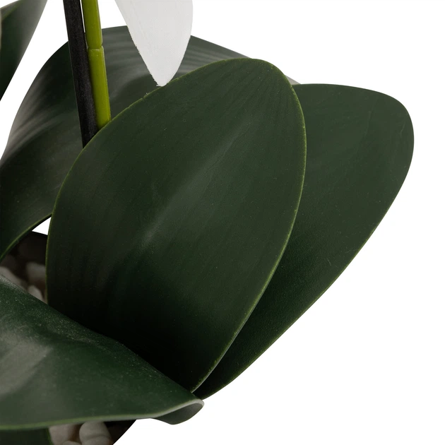 Sztuczny storczyk Atmosphera Créateur d'intérieur Mick w ceramicznej doniczce 80 cm (3560233015792) - obraz 3