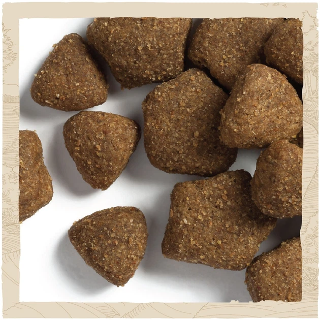 Сухой корм для собак Purina Dog Chow Adult Lamb со вкусом ягненка 14 кг (7613034487636) - изображение 8