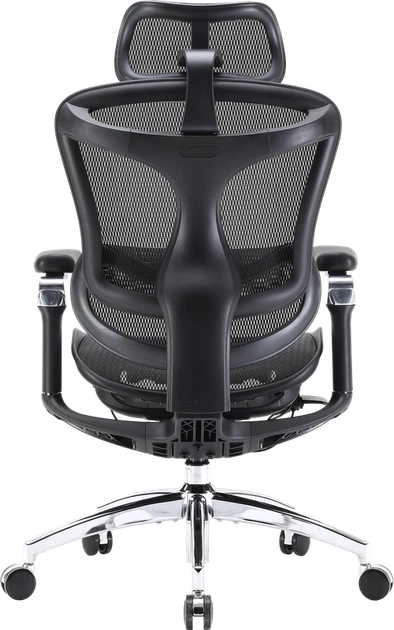 Крісло офісне Sihoo DORO C300 Pro Mesh Black - Фото 2 Крісло офісне Sihoo DORO C300 Pro Mesh Black - изображение 2