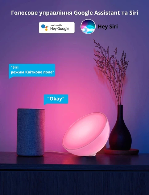 Philips Hue A60 800lm ×2 + Hue Go Умный портативный LED светильник Philips Hue Go V2 White and Color